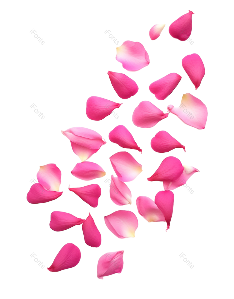 求婚图片,摄影元素,婚礼装饰PNG,浪漫免抠素材